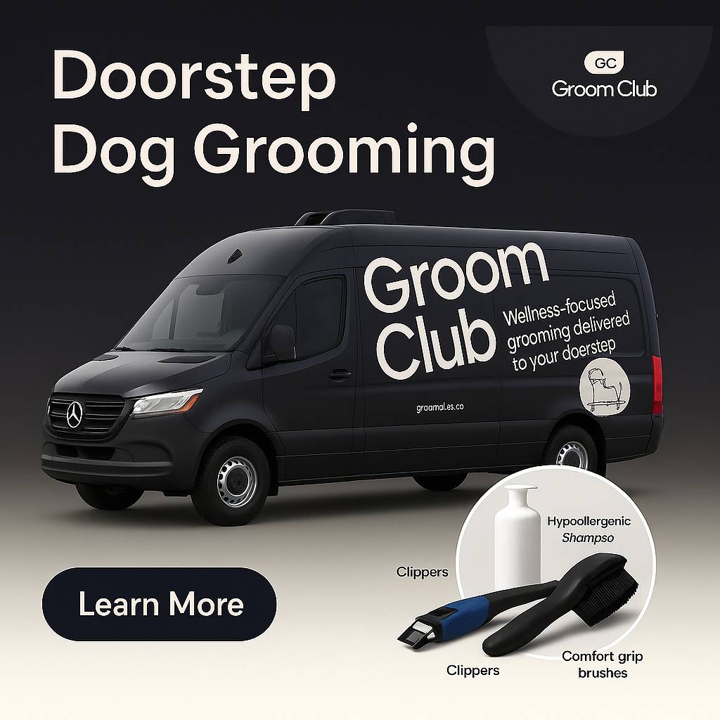AI ad 5